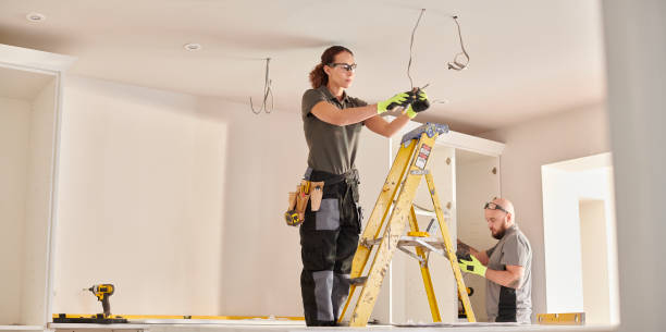 Best Electric Panel Repair  in Hull, IA